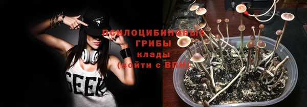 сатива Арсеньев