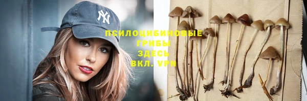 эйфоретик Армянск