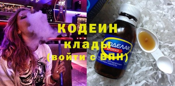 сатива Арсеньев