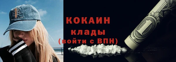 сатива Арсеньев