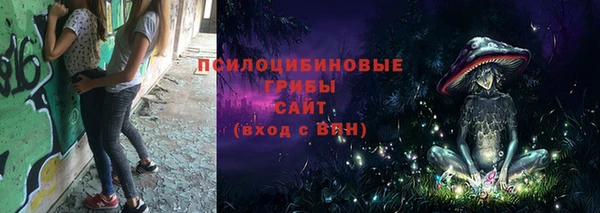 сатива Арсеньев