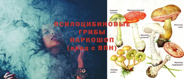 сатива Арсеньев