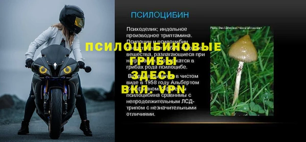эйфоретик Армянск